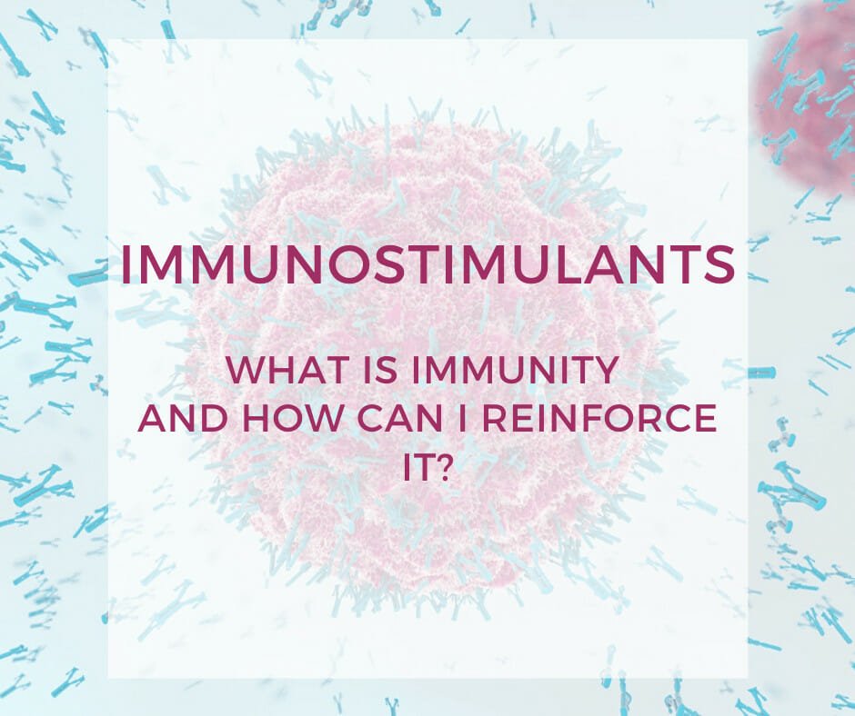 Immunostimulants. How can I reinforce immunity?