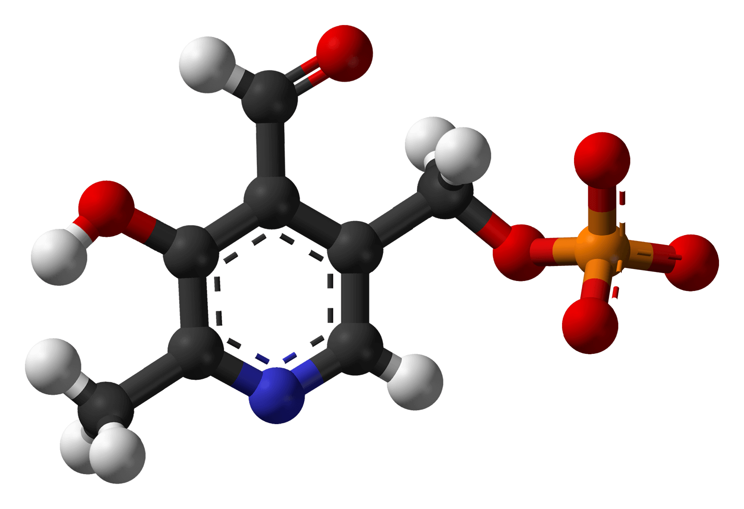 pyridoxal-phosphate-molecule-3