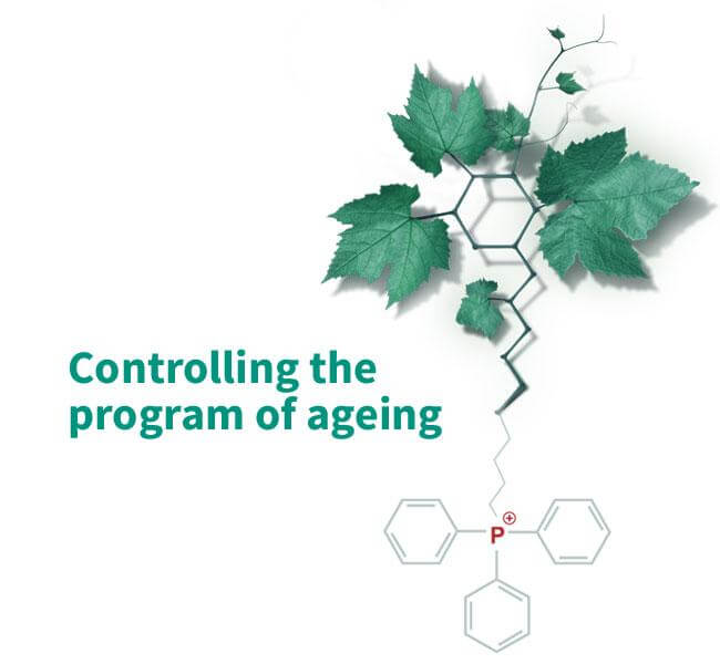 controlling the program of ageing-2