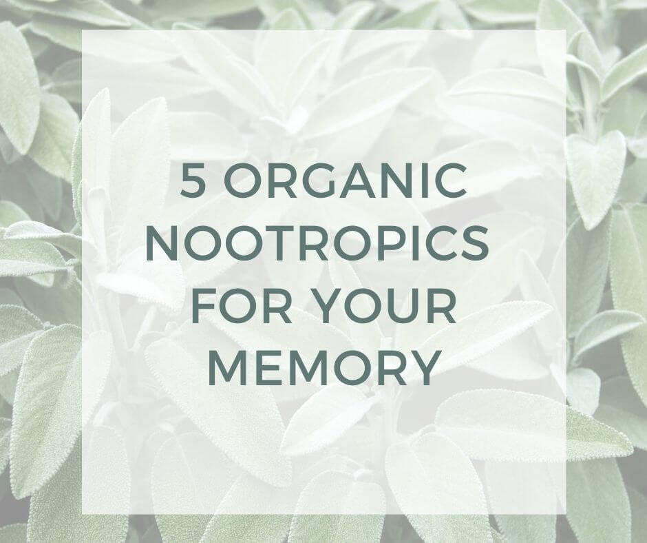 five organic nootropics for your memory-3